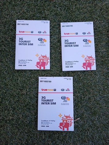 Tourist inter sim - sim,